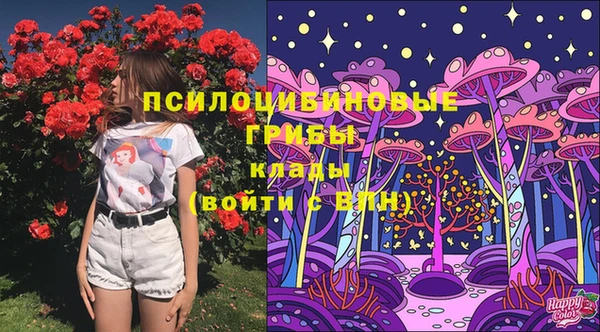 прущий лед Магас