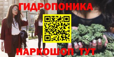 spice Аргун