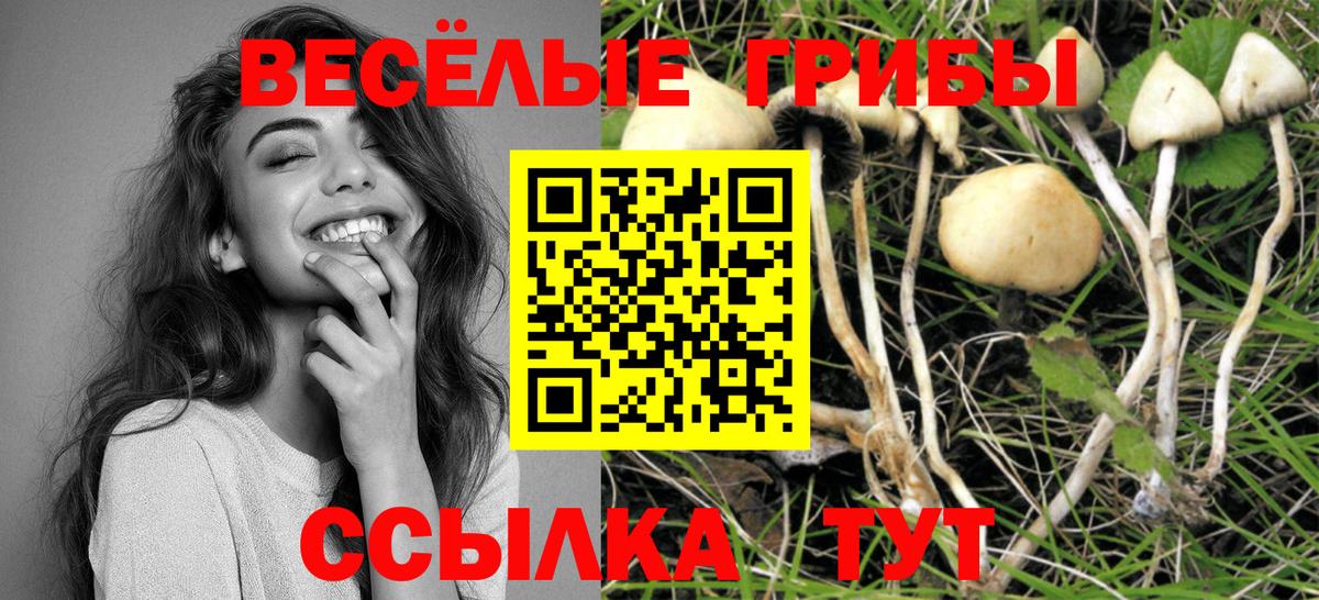 Белгород  Псилоцибиновые грибы GOLDEN TEACHER  Галлюциногенные грибы прущие грибы  Вход с VPN 