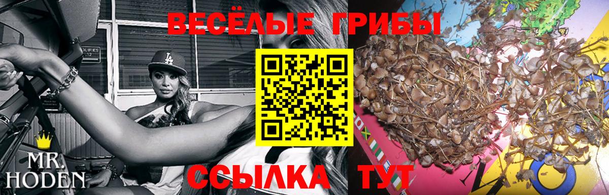 Псилоцибиновые грибы мухоморы Белгород