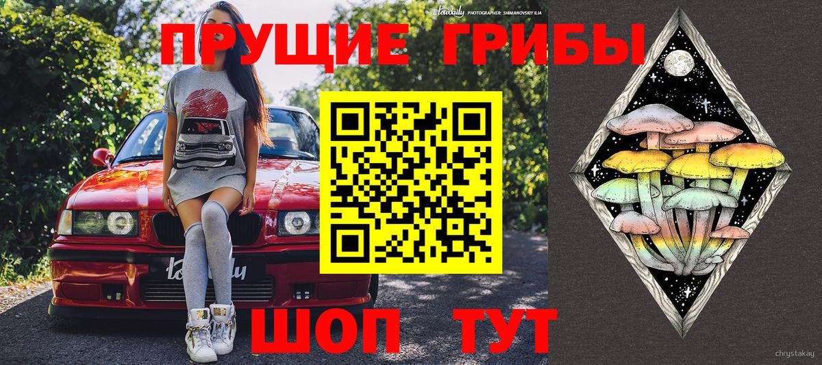 закладка  Галлюциногенные грибы MAGIC MUSHROOMS  Белгород  Псилоцибиновые грибы ЛСД 